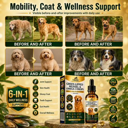 BrightStride Concentrated Omega Drops for Dogs-Mobility, Skin & Coat Support-Powerful Daily Support in Just a Few Drops
