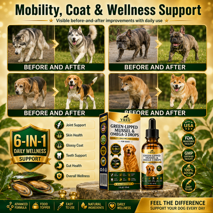 BrightStride Concentrated Omega Drops for Dogs-Mobility, Skin & Coat Support-Powerful Daily Support in Just a Few Drops