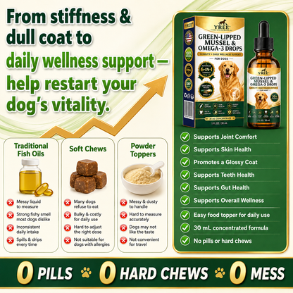 BrightStride Concentrated Omega Drops for Dogs-Mobility, Skin & Coat Support-Powerful Daily Support in Just a Few Drops