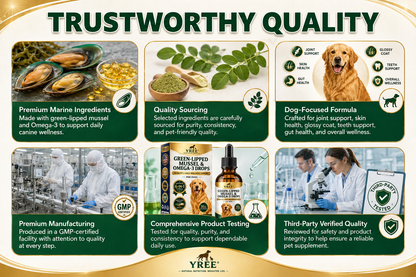 BrightStride Concentrated Omega Drops for Dogs-Mobility, Skin & Coat Support-Powerful Daily Support in Just a Few Drops