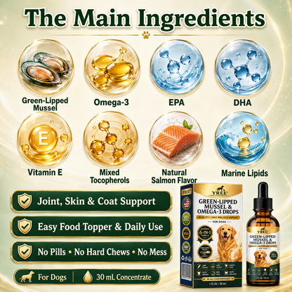 BrightStride Concentrated Omega Drops for Dogs-Mobility, Skin & Coat Support-Powerful Daily Support in Just a Few Drops