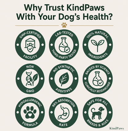 KindPaws™ Collagen Drops for Dogs