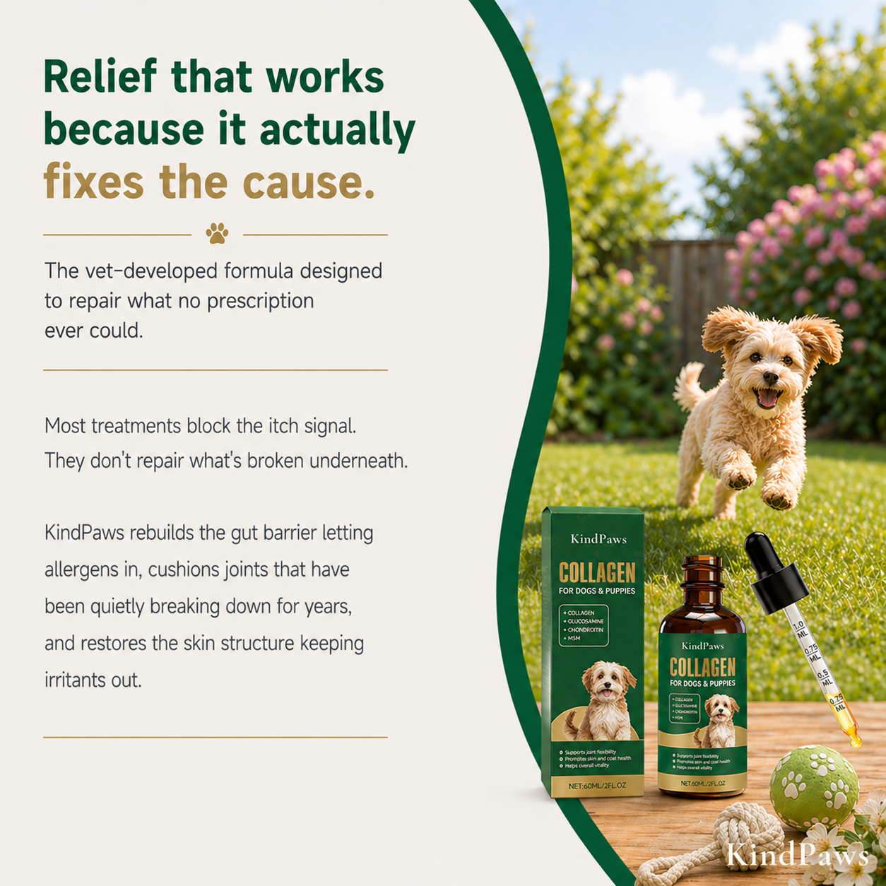 KindPaws™ Collagen Drops for Dogs